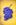 Traube violett